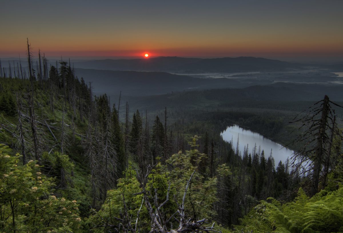 Svítání nad Plešným jezerem